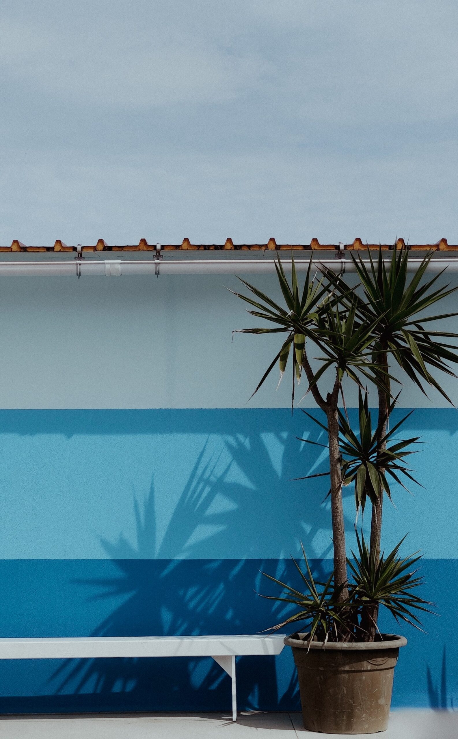 ¿Cómo se calcula el valor fiscal de un inmueble? Housfy