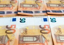 ¡El BCE echa el freno! Se mantienen los tipos de interés en el 2%
