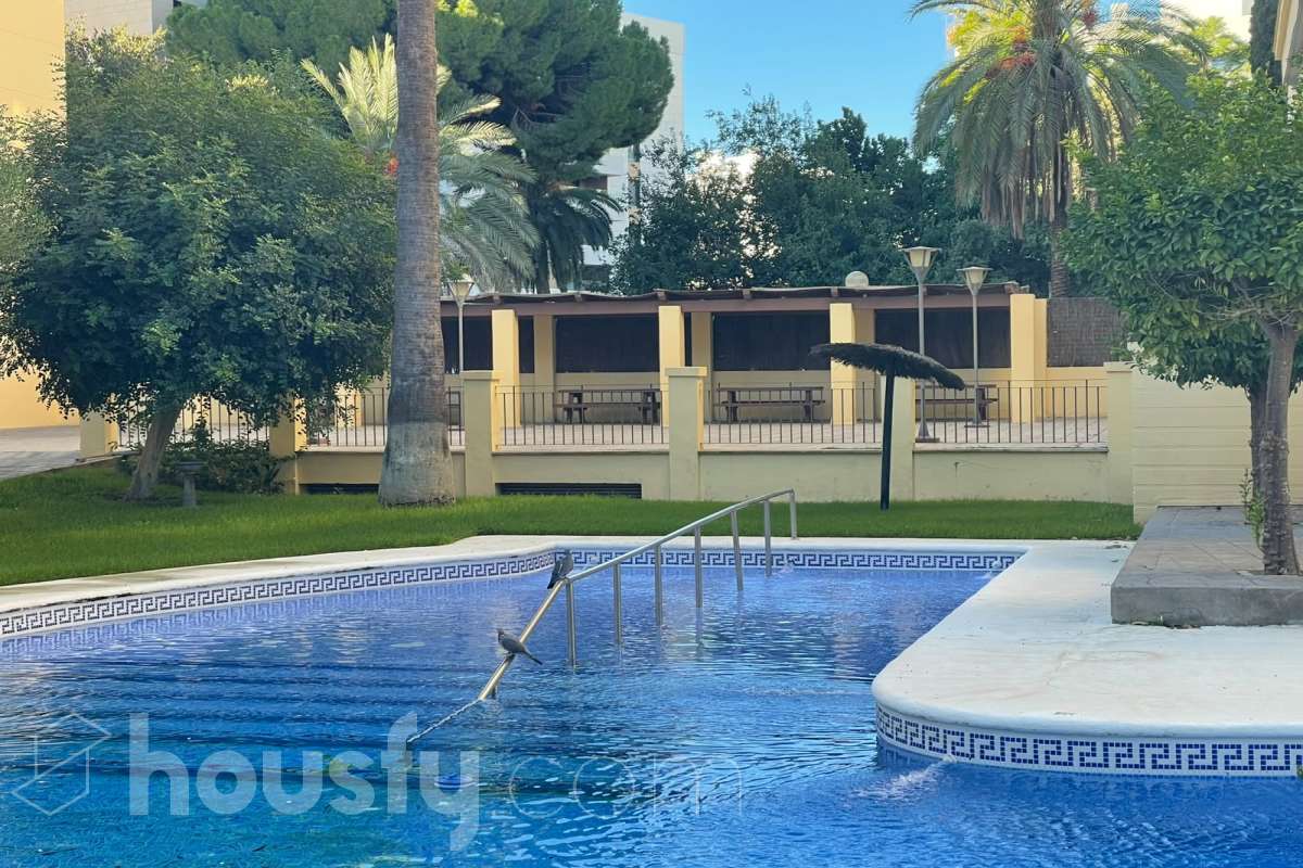 Piso en alquiler en Calle Ventura Núñez Venturita, Avenida - Divina Pastora - Plaza de Toros, Jerez de la Frontera-1