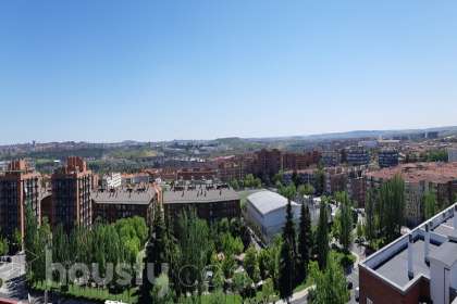 Piso en Calle Pan y Toros