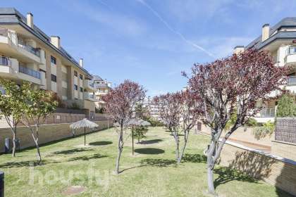 Bajo en Calle Francisco Tomás y Valiente