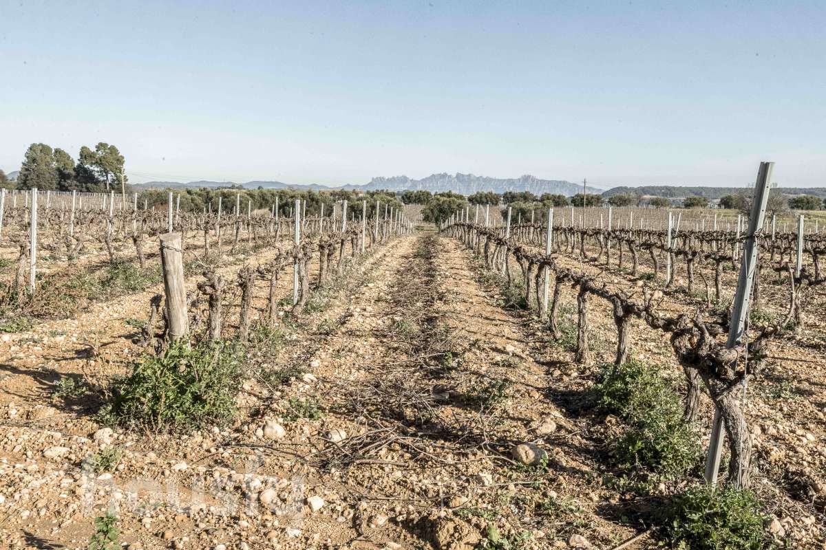 Casa en venta en BO Nou,  Font-Rubí-3