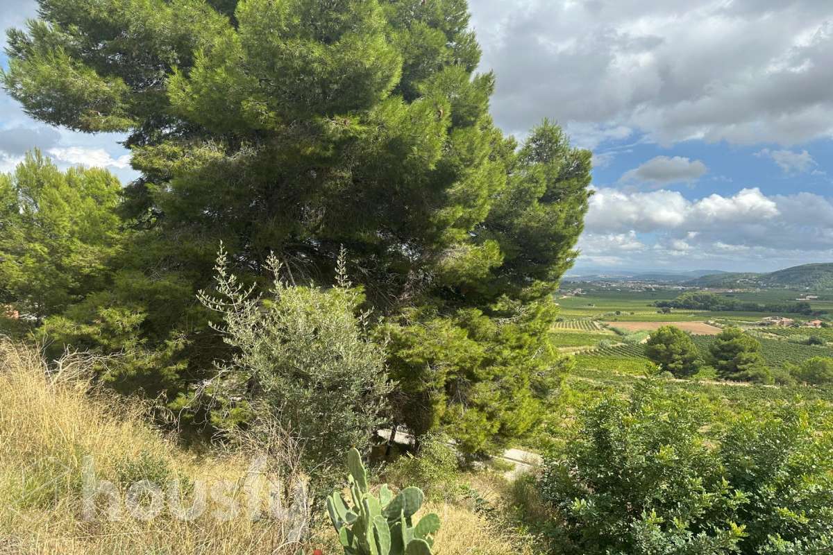 Solar en venta en Carrer Cirerer (Can Coral),  Torrelles de Foix-3
