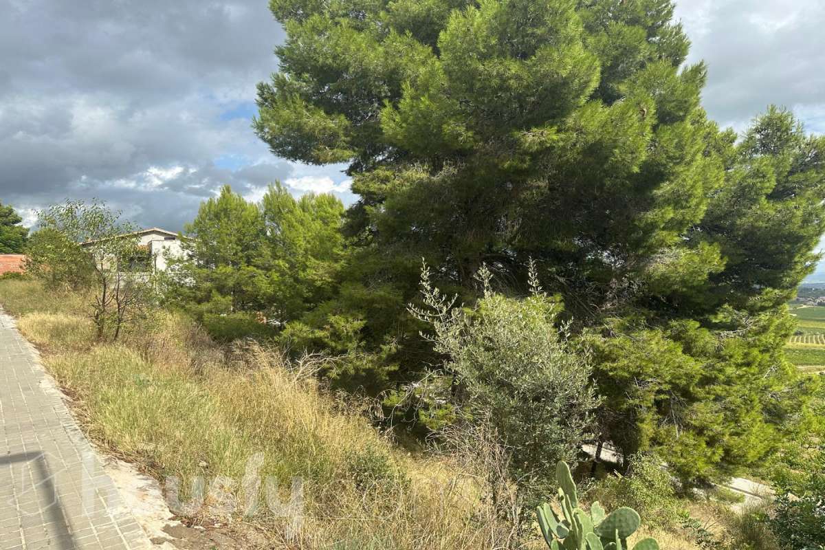 Solar en venta en Carrer Cirerer (Can Coral),  Torrelles de Foix-4