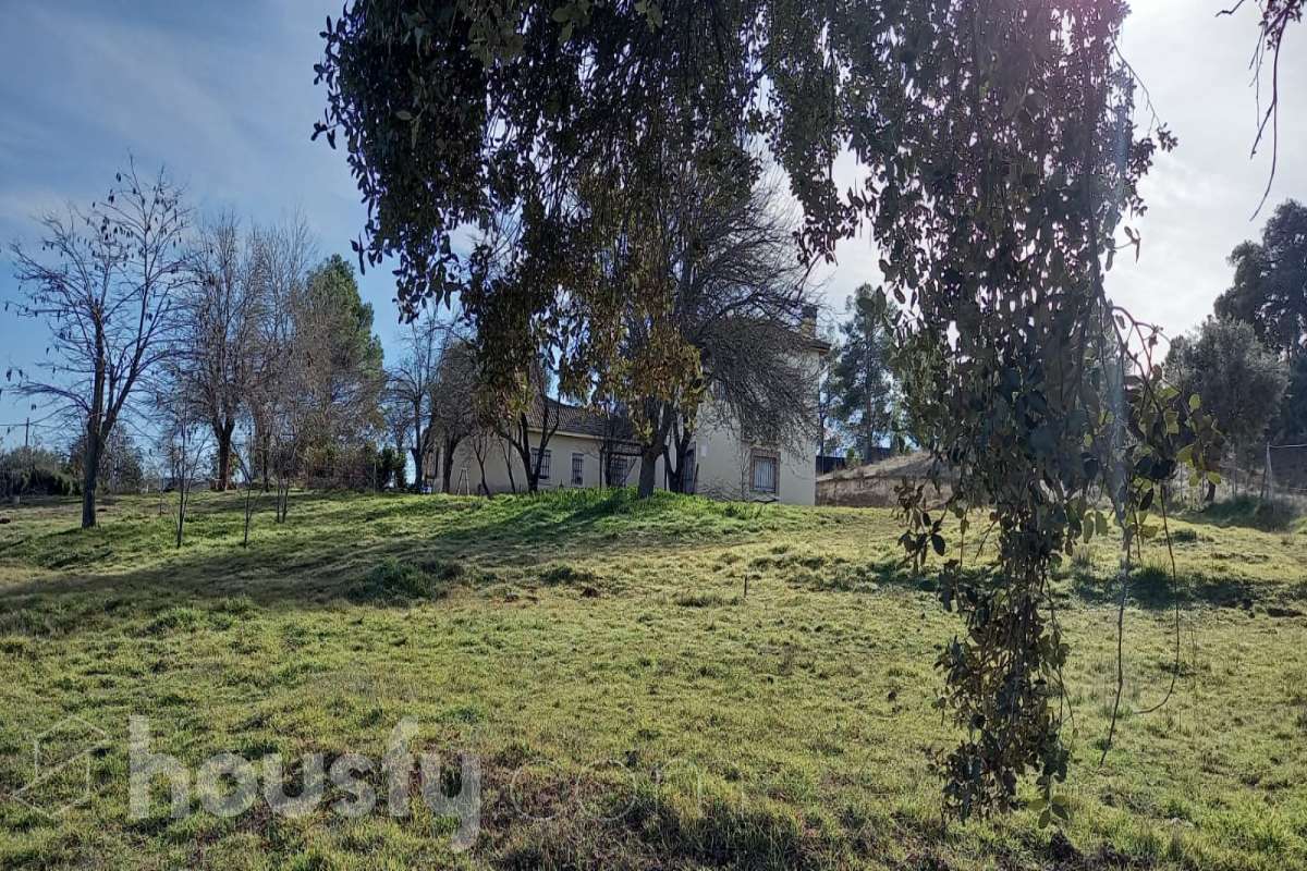 Casa en venta en Urb. Valdeperales de Arriba,  Perales de Tajuña-3