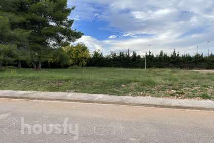 Solar en CL BÀSQUET