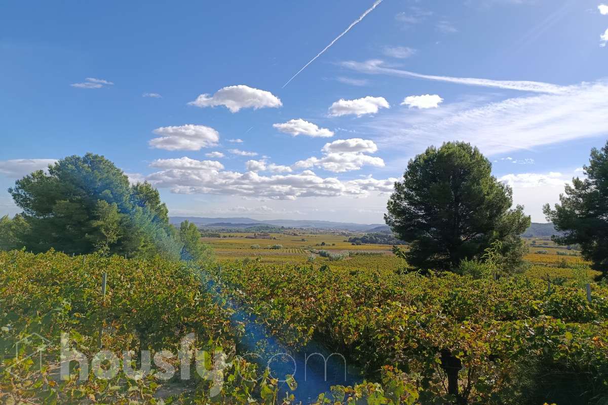 Solar en venta en Polígono 34 Parcela 26 (Urb, Can Coral), 08737 Torrelles de Foix, Barcelona,  Torrelles de Foix-3