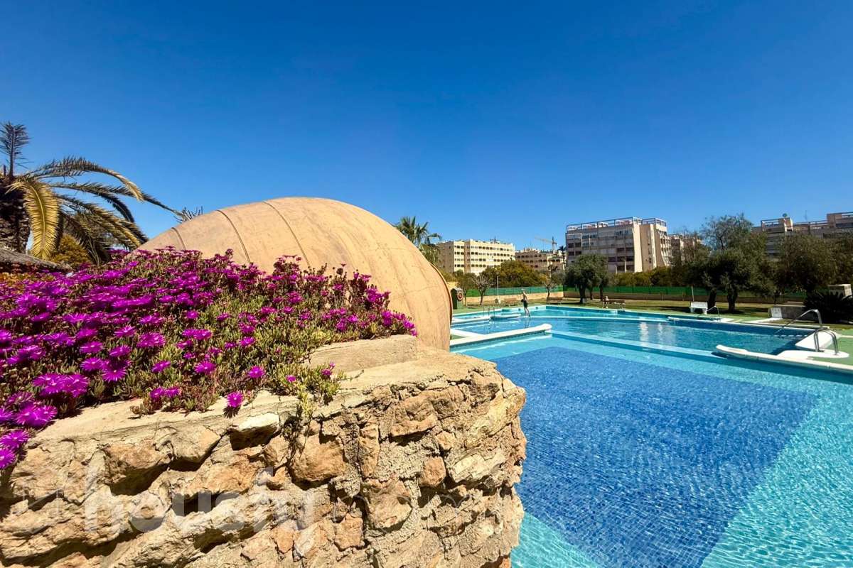 Dúplex en alquiler en Calle Perseo, Nueva Torrevieja - Aguas Nuevas, Torrevieja-3